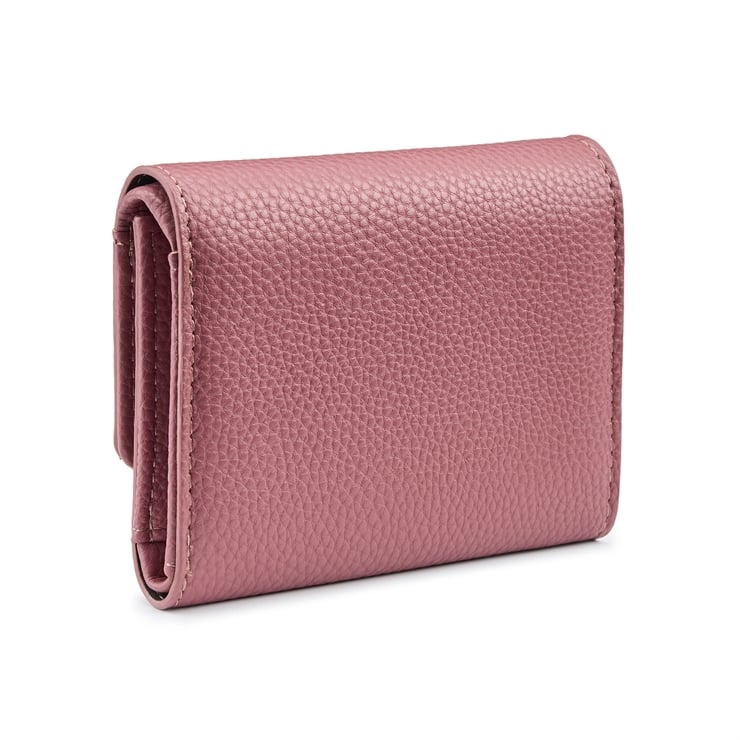 Polly Purse